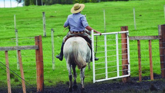 Desde 1980 se observa un descenso del 31% en los trabajadores permanentes en el medio rural. Desde 1980 se observa un descenso del 31% en los trabajadores permanentes en el medio rural.