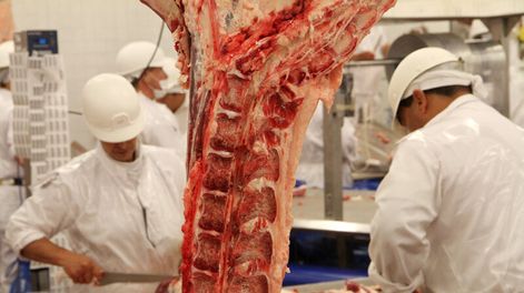 imagen de La industria frigorífica exportadora sostiene que no puede competir en los mercados con los precios actuales de la hacienda